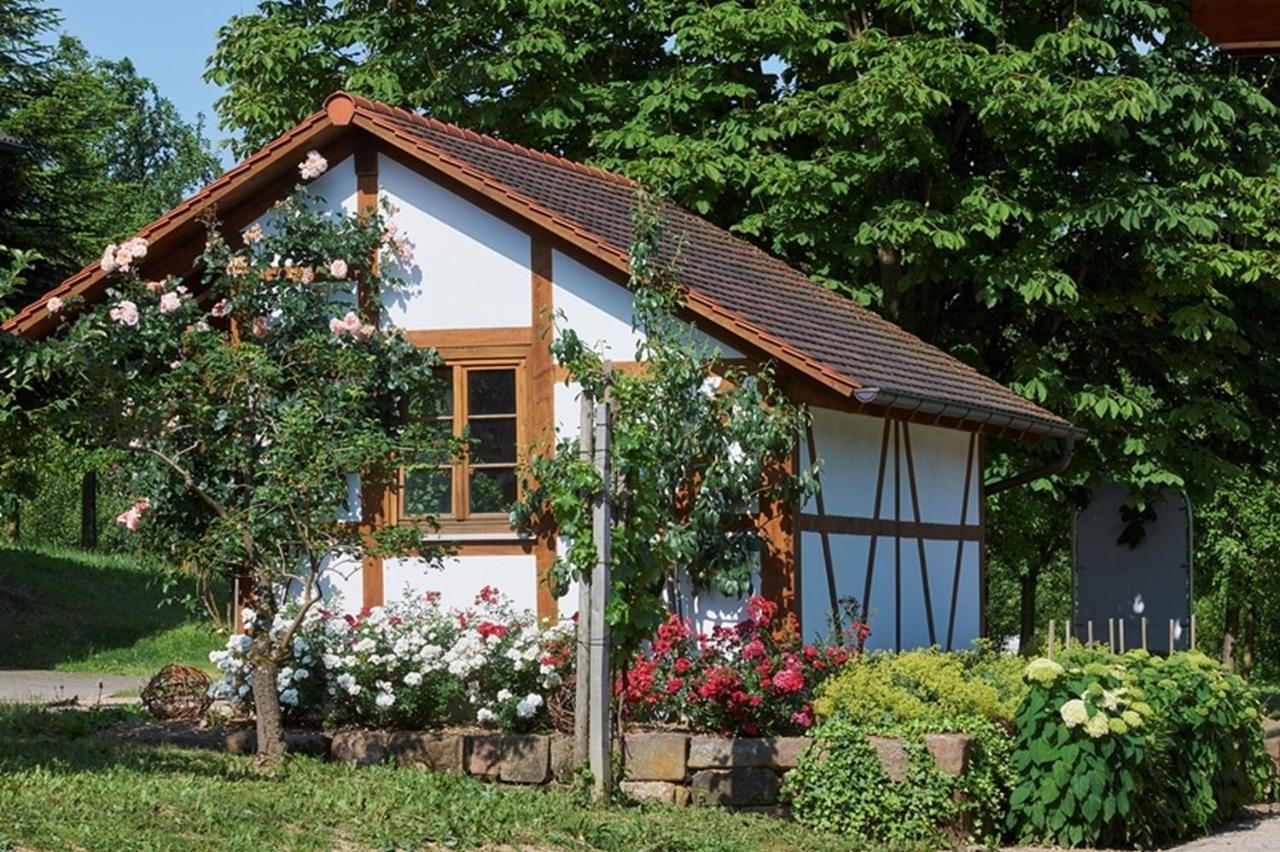Winzerhof Woerner Daire Durbach Dış mekan fotoğraf